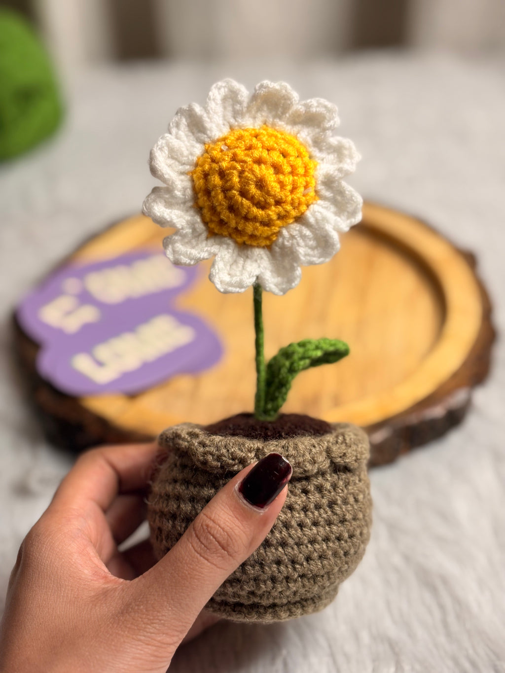 Daisy Flower pot