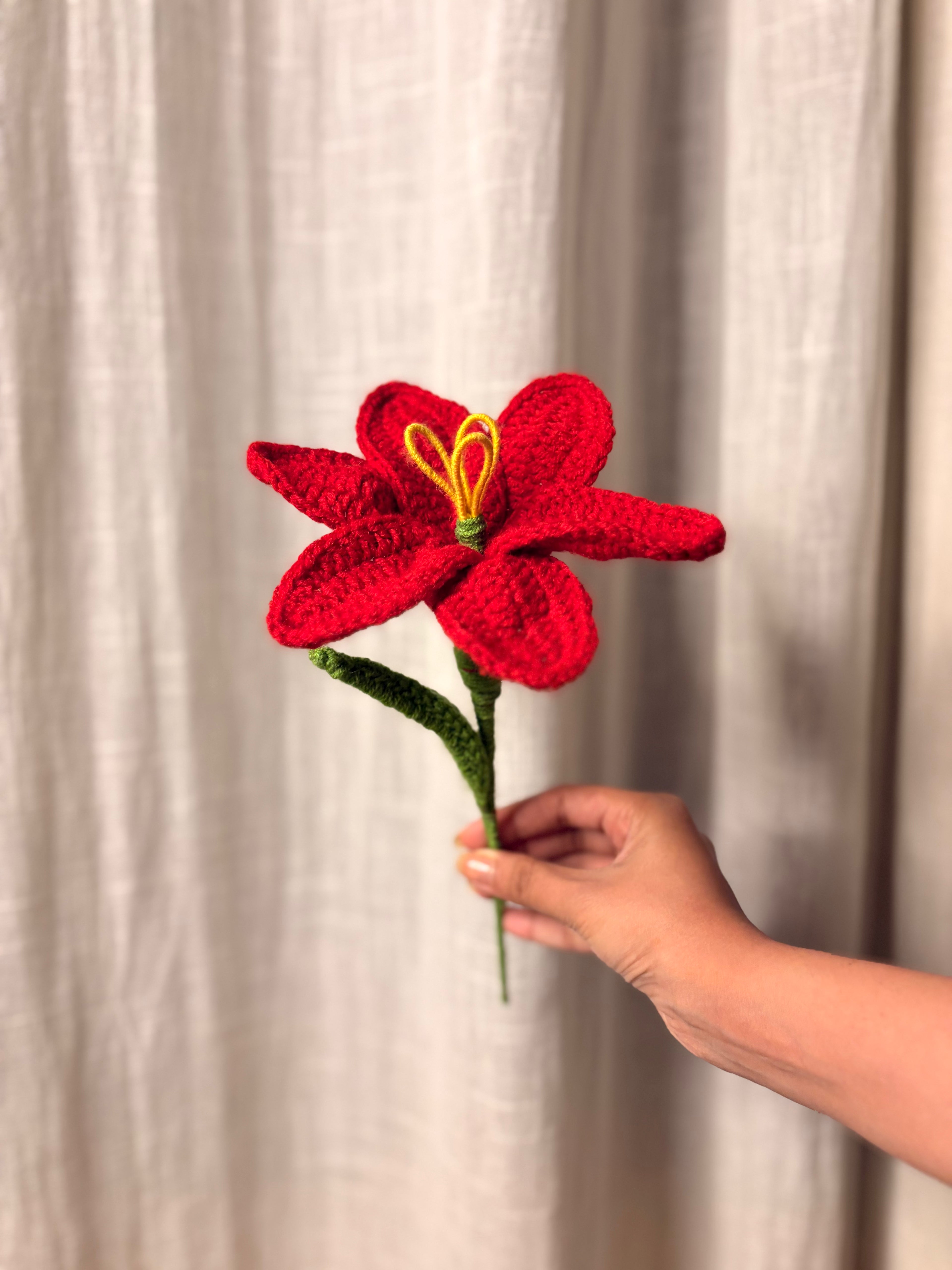 Red Lily Flower