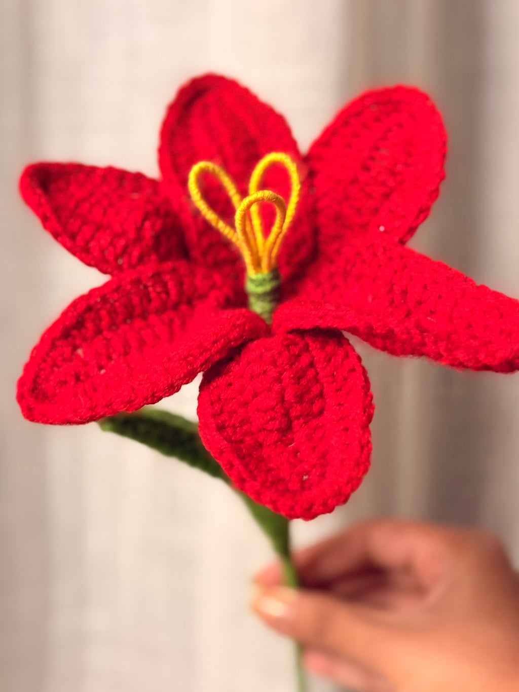 Red Lily Flower