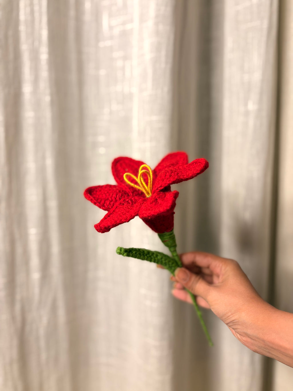 Red Lily Flower