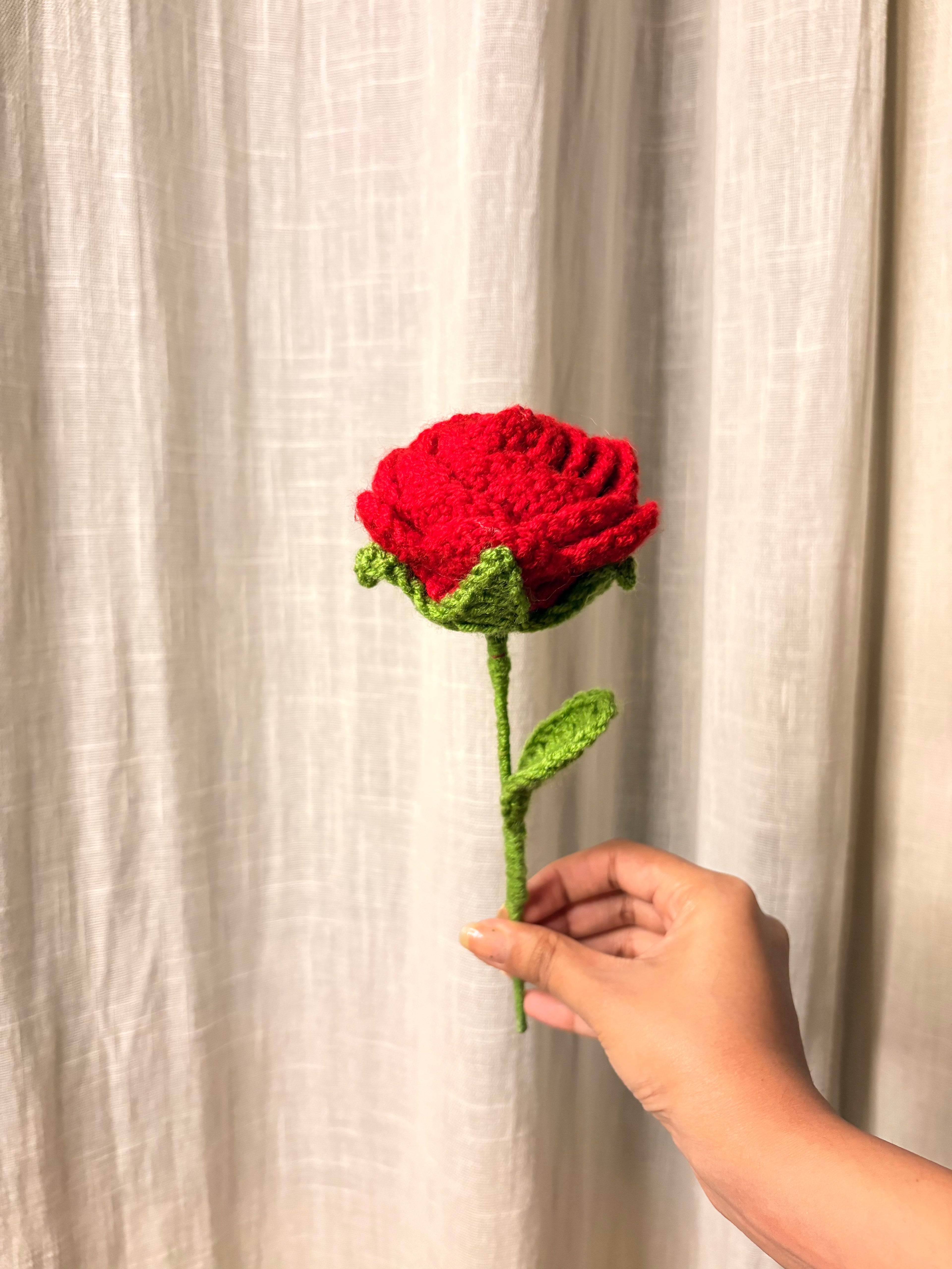Red Rose