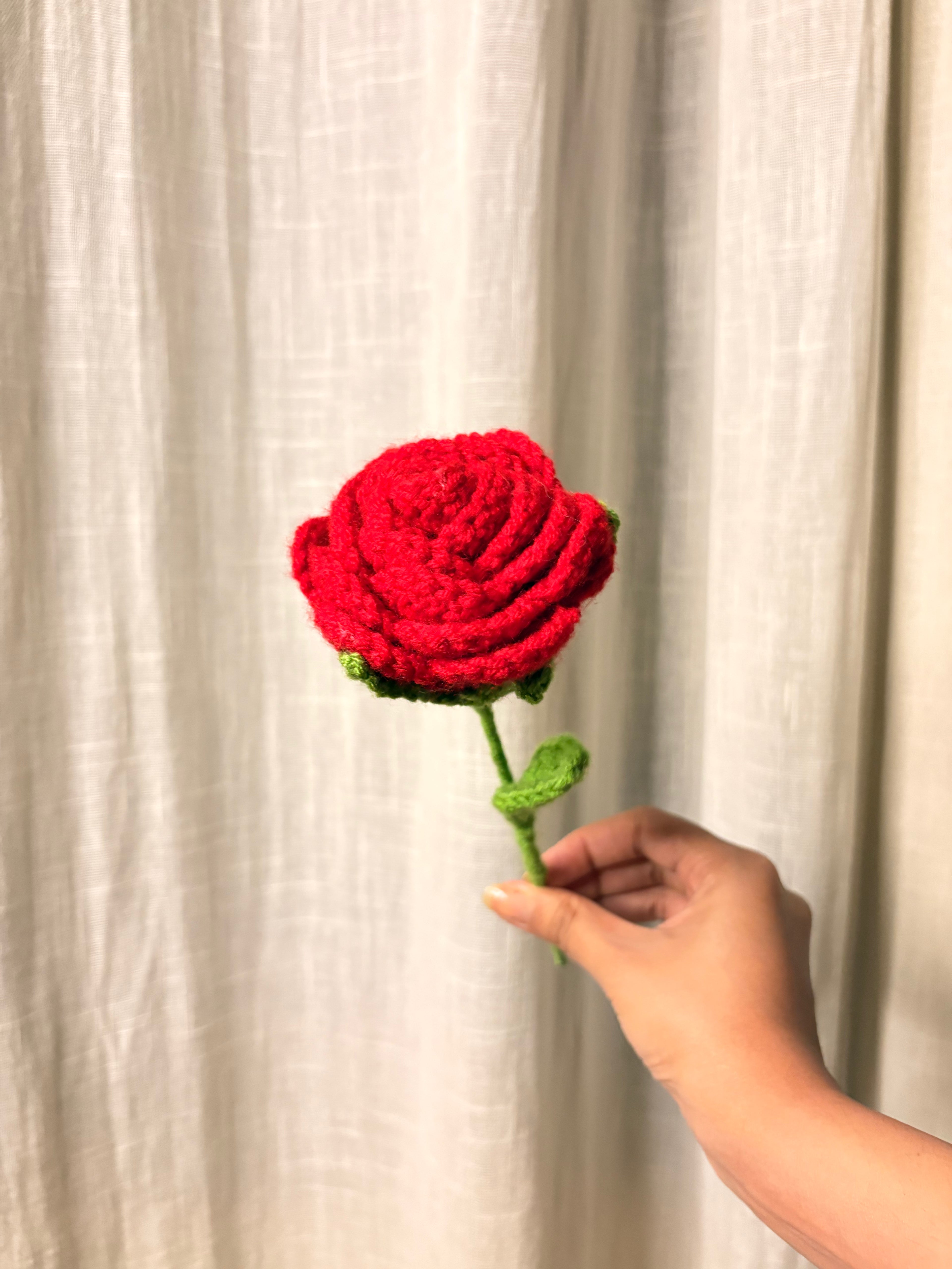 Red Rose