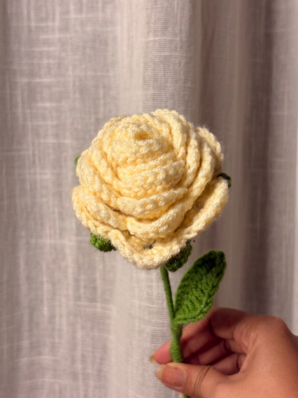 White Rose