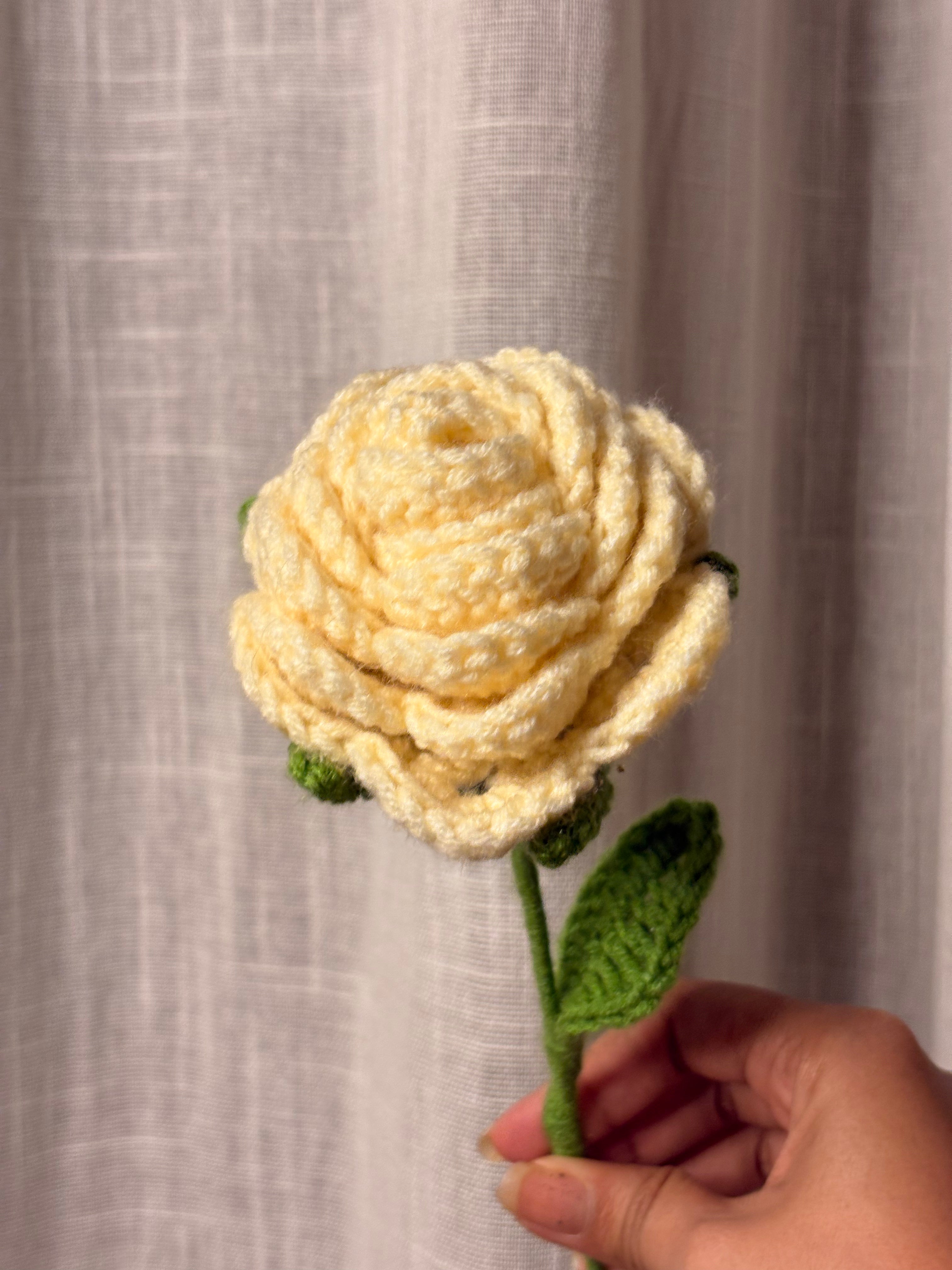 White Rose