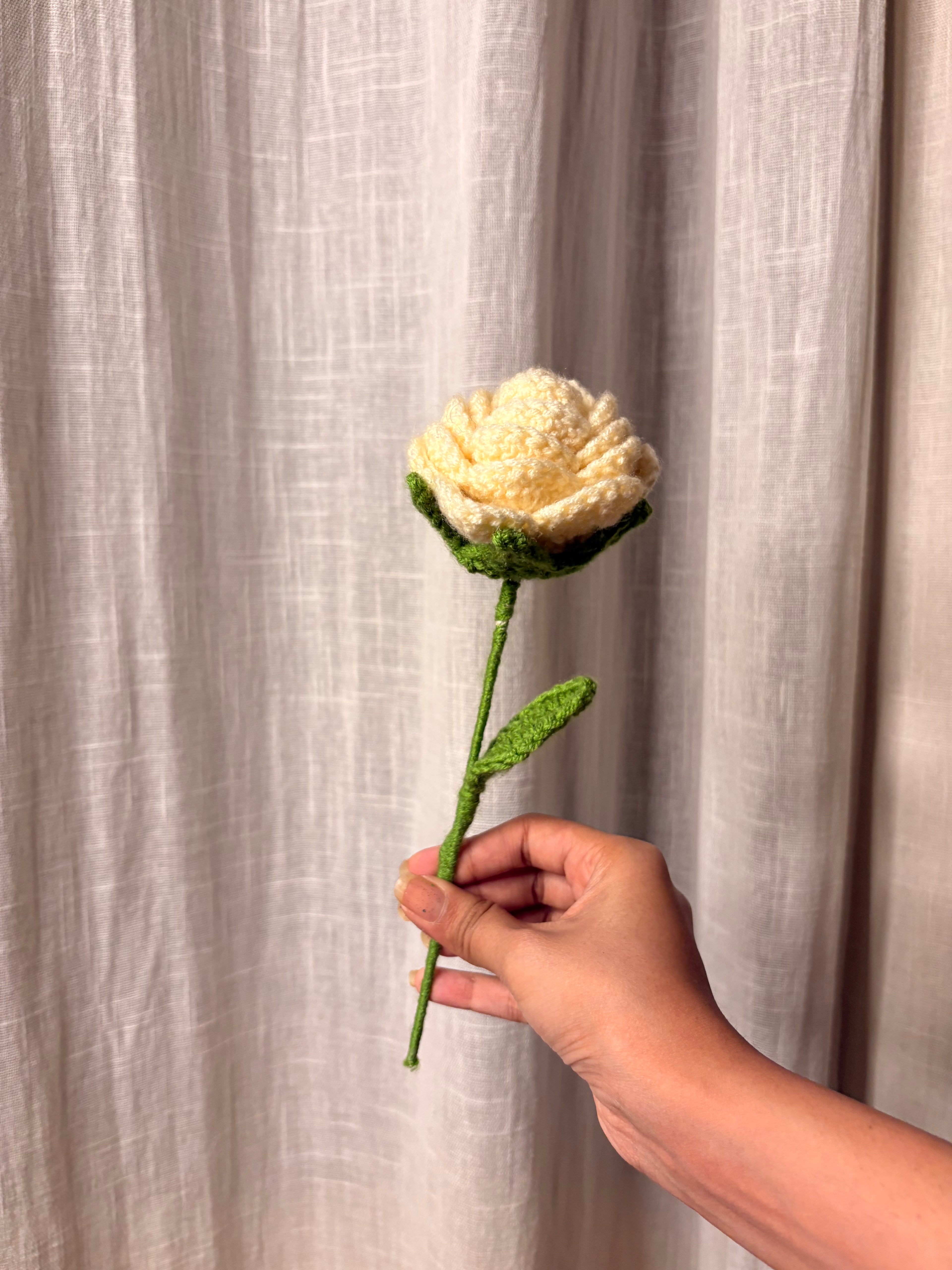 White Rose