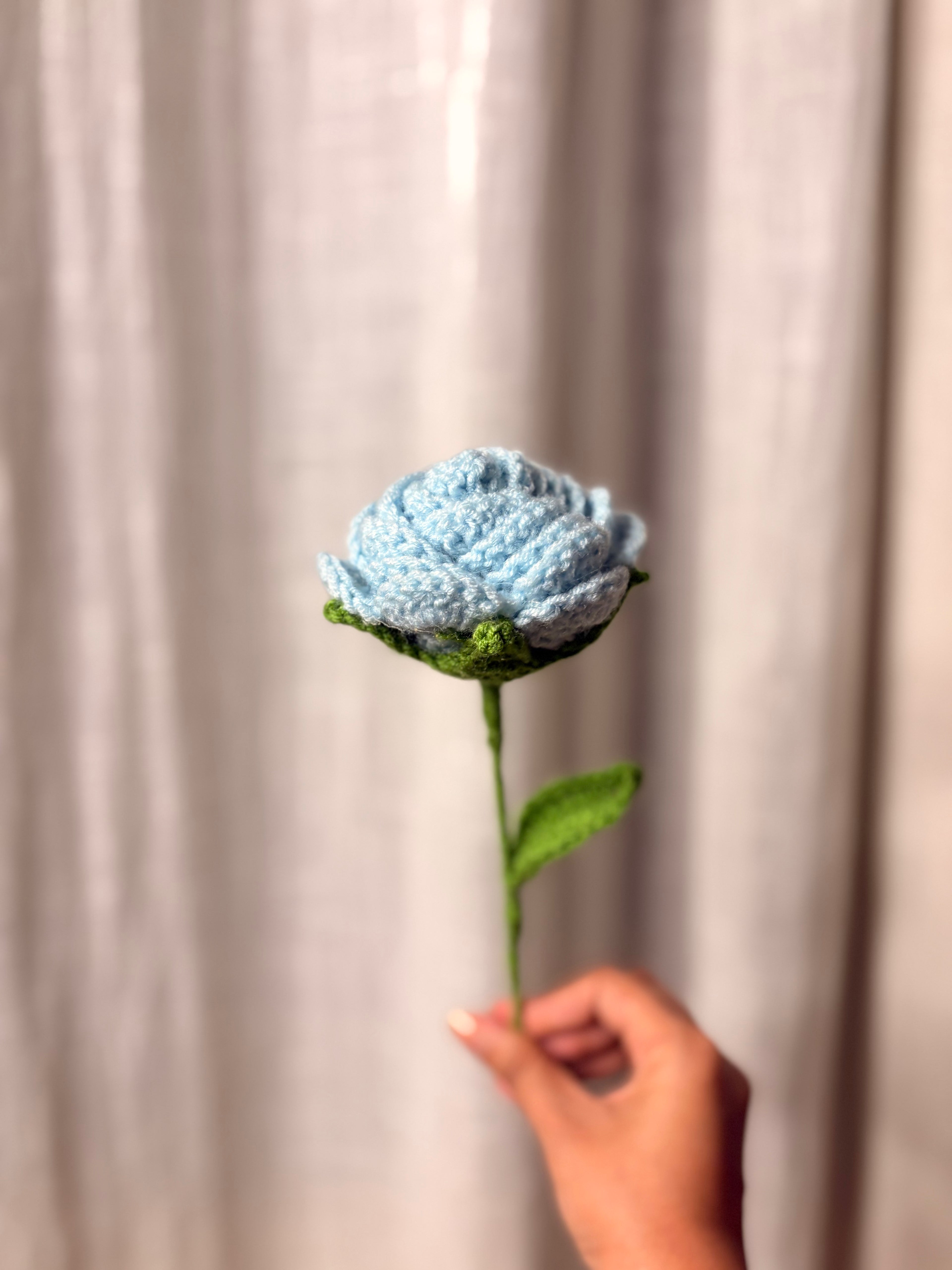 Blue Rose