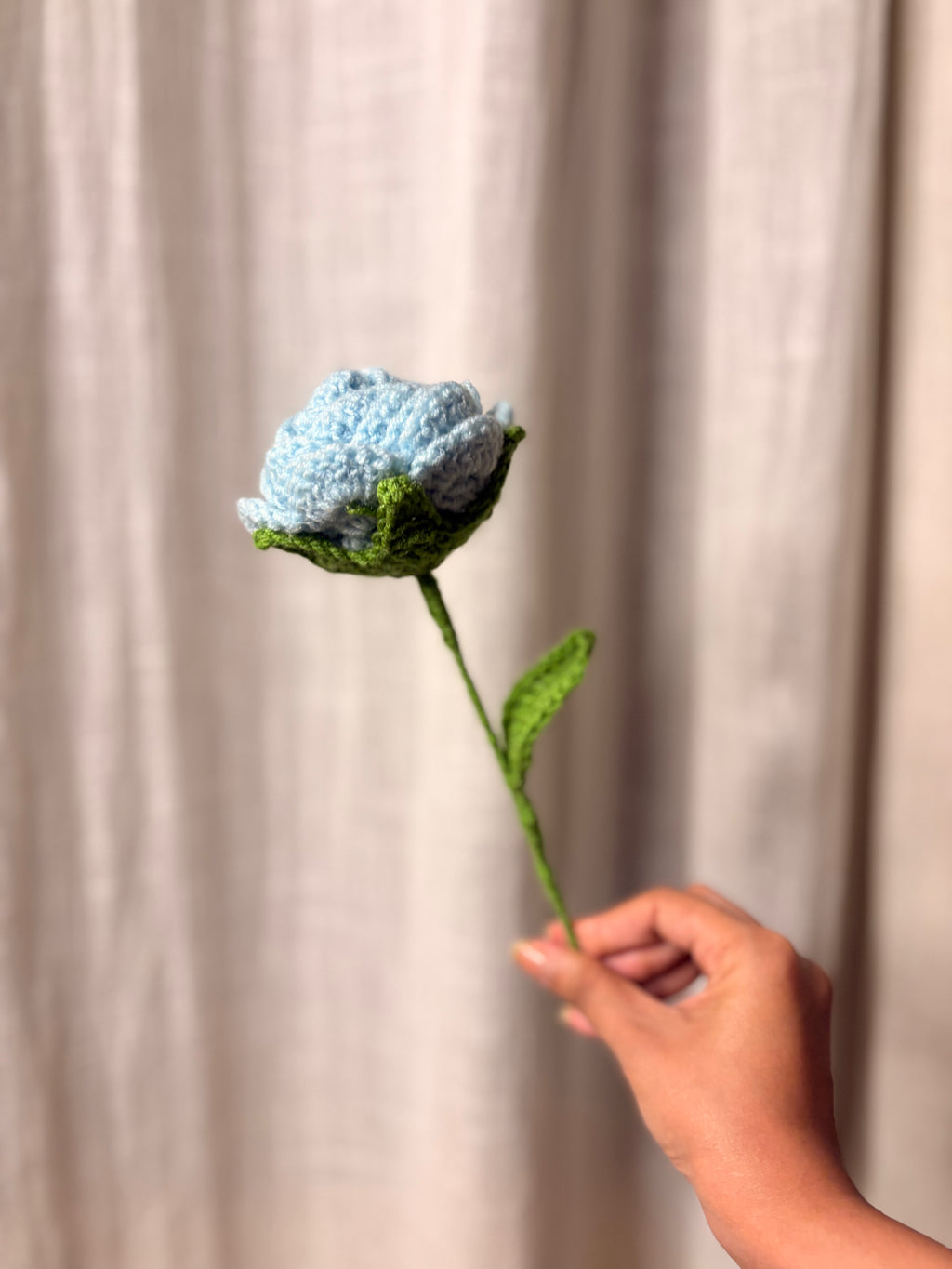 Blue Rose