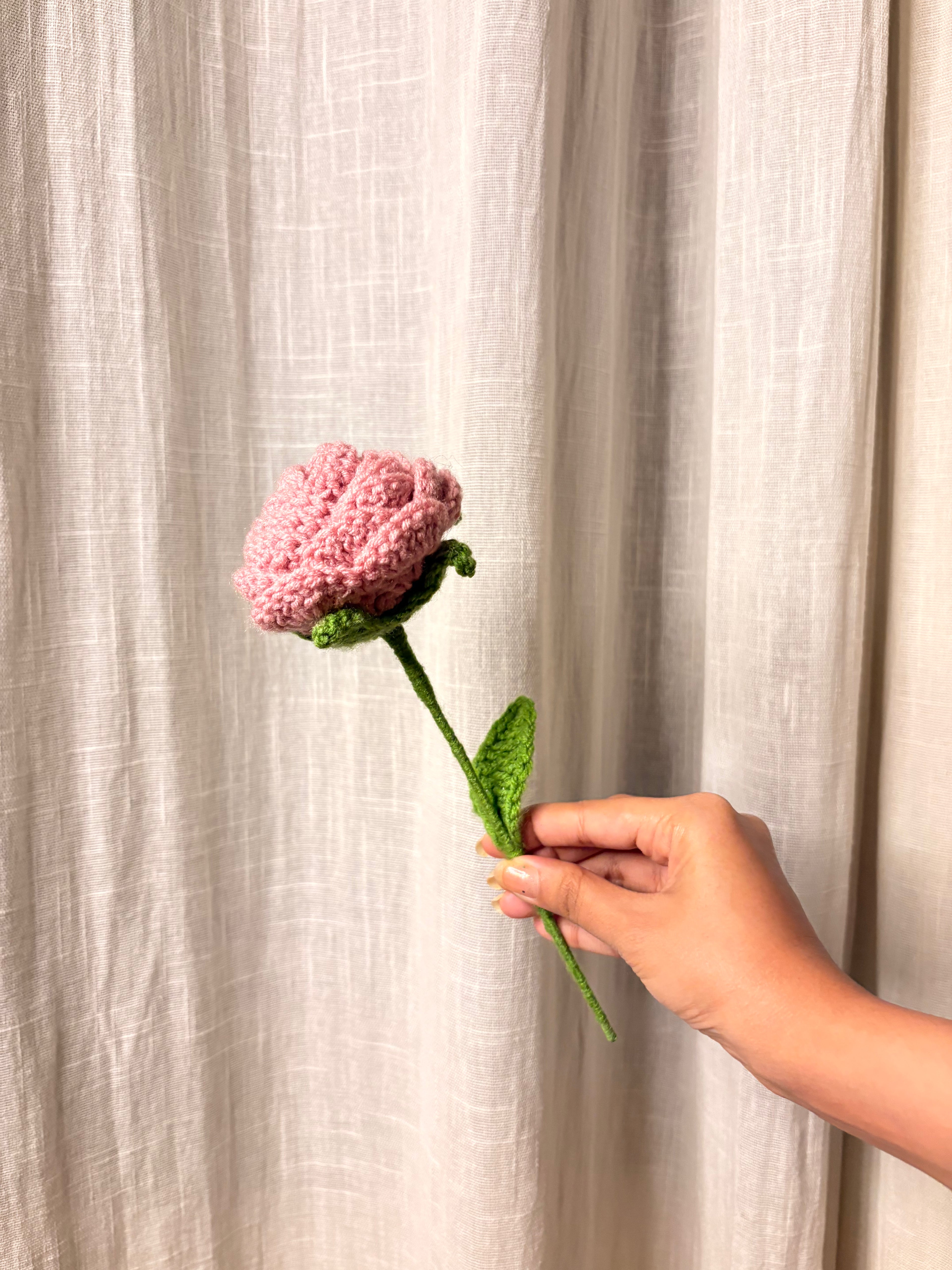 Pink Rose
