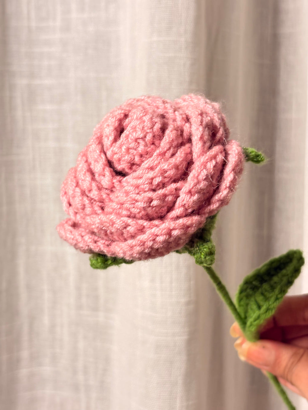 Pink Rose